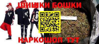 прущие грибы Абакан