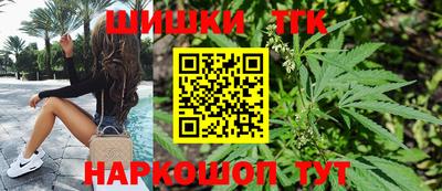 стафф Гатчина