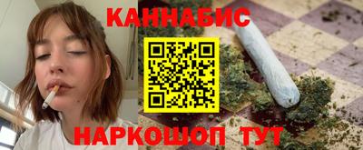 стафф Гатчина