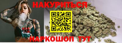 стафф Гатчина